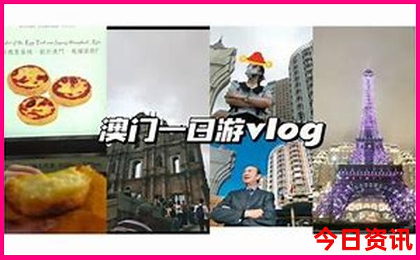 2025年生肖表排码表图